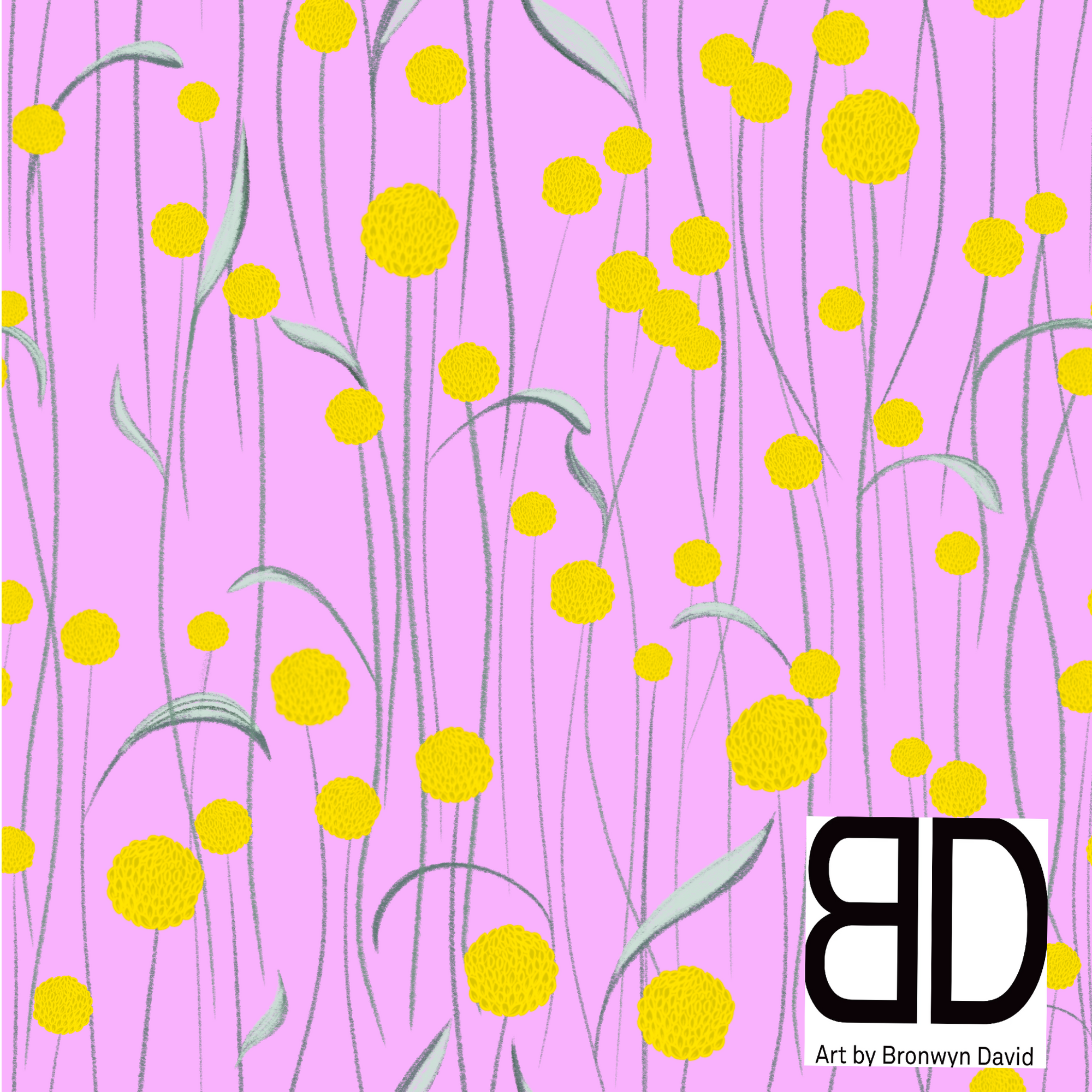 Bronwyn David : Billy buttons