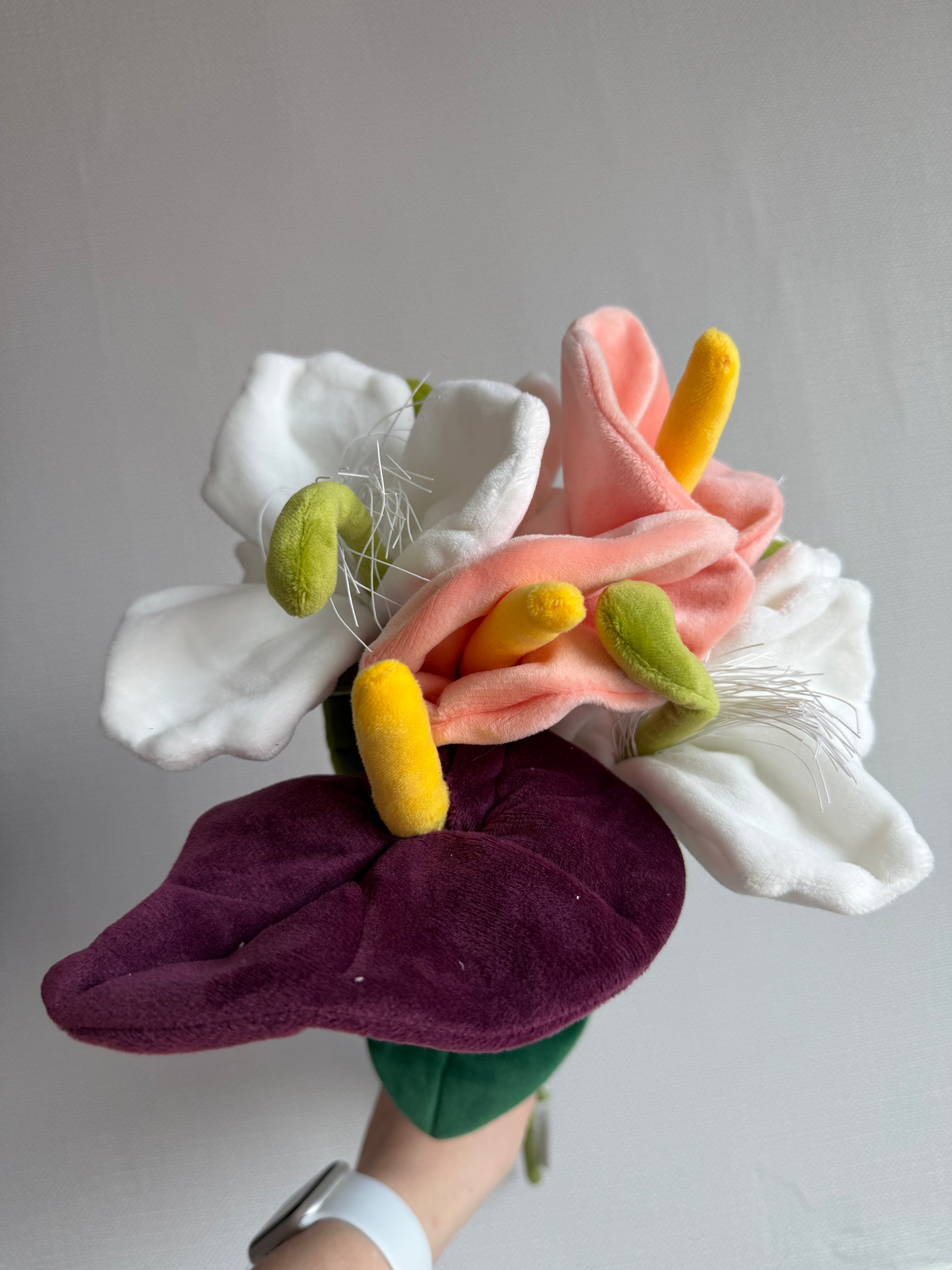 Shipping fee from Flower Market Singapore