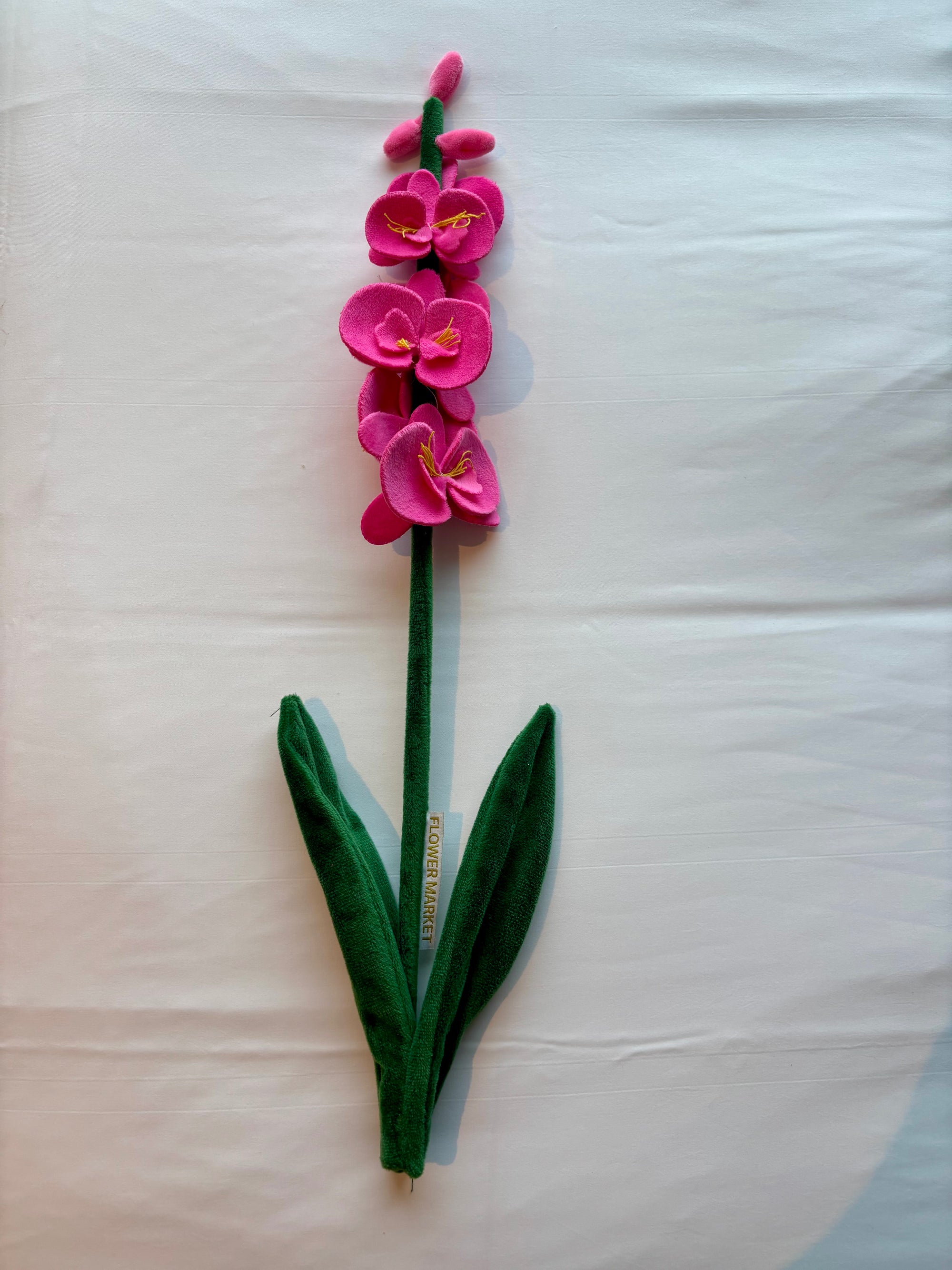 Fuscia pink double bow CJ Hendry stem from Singapore Flower Market