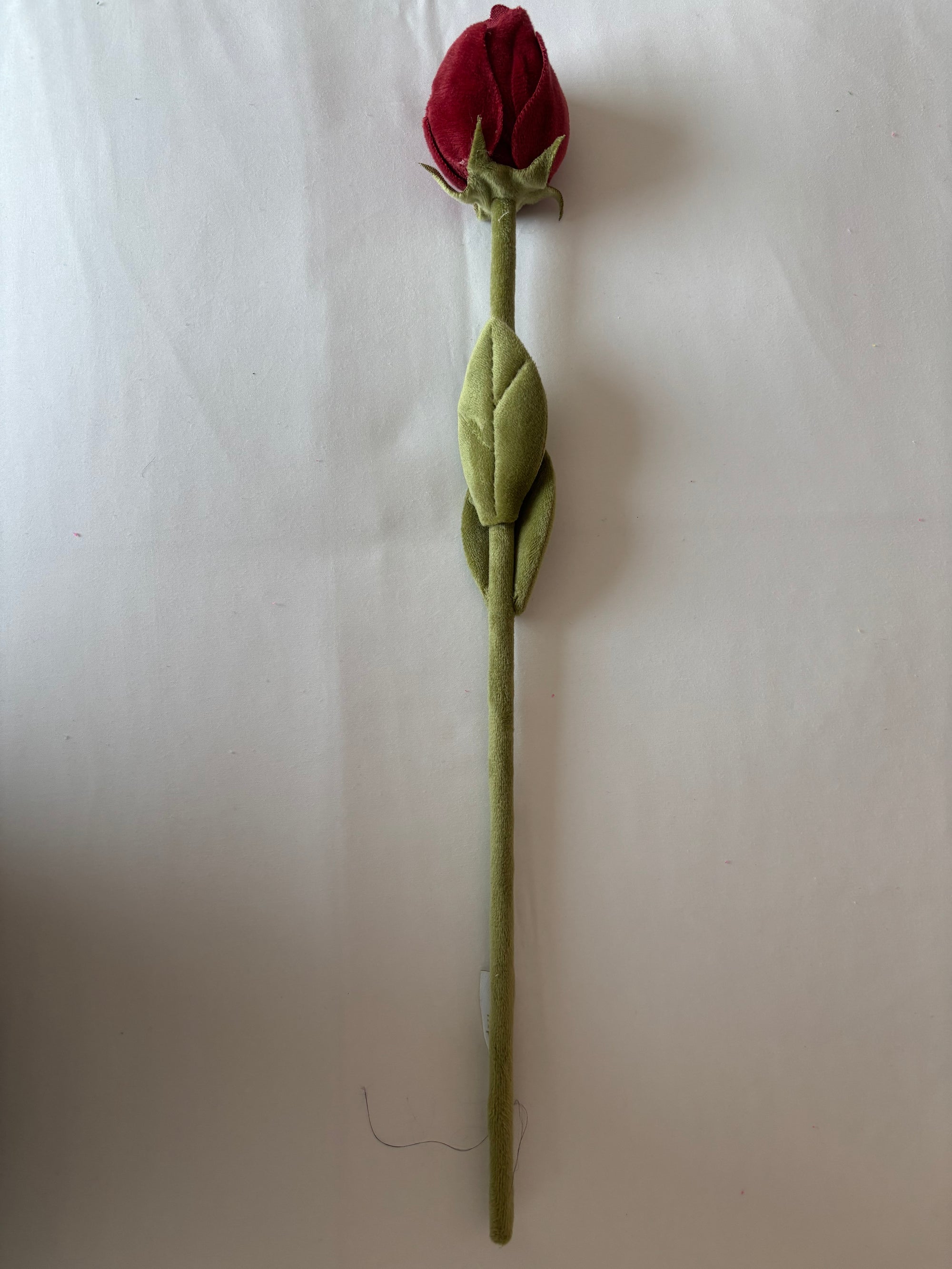 Rusty red rose CJ Hendry stem from Singapore Flower Market