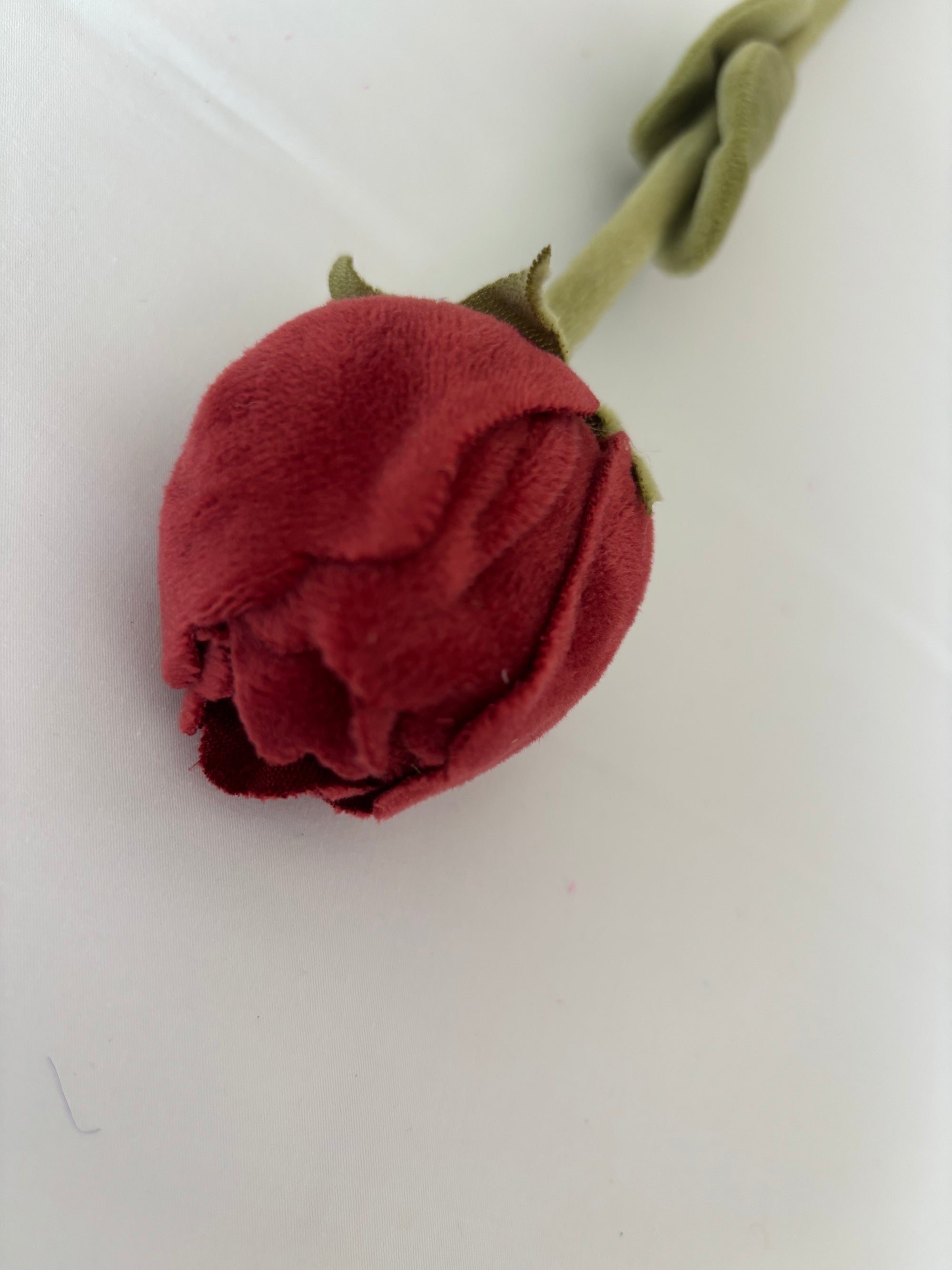 Rusty red rose CJ Hendry stem from Singapore Flower Market