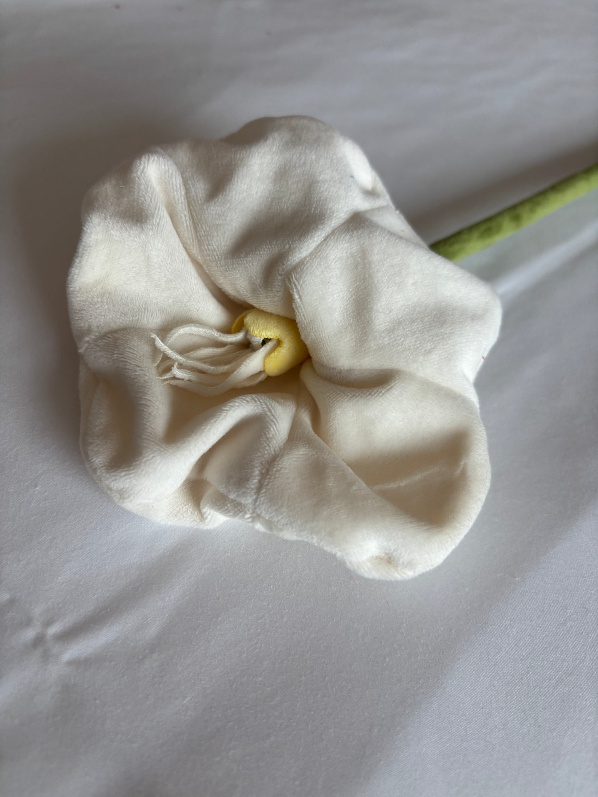Cream poppy CJ Hendry stem from Singapore Flower Market