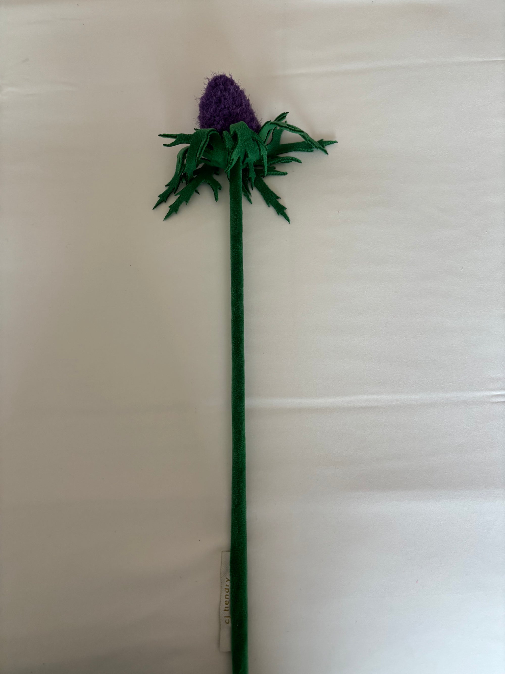 Purple Thistle CJ Hendry stem from Singapore Flower Market