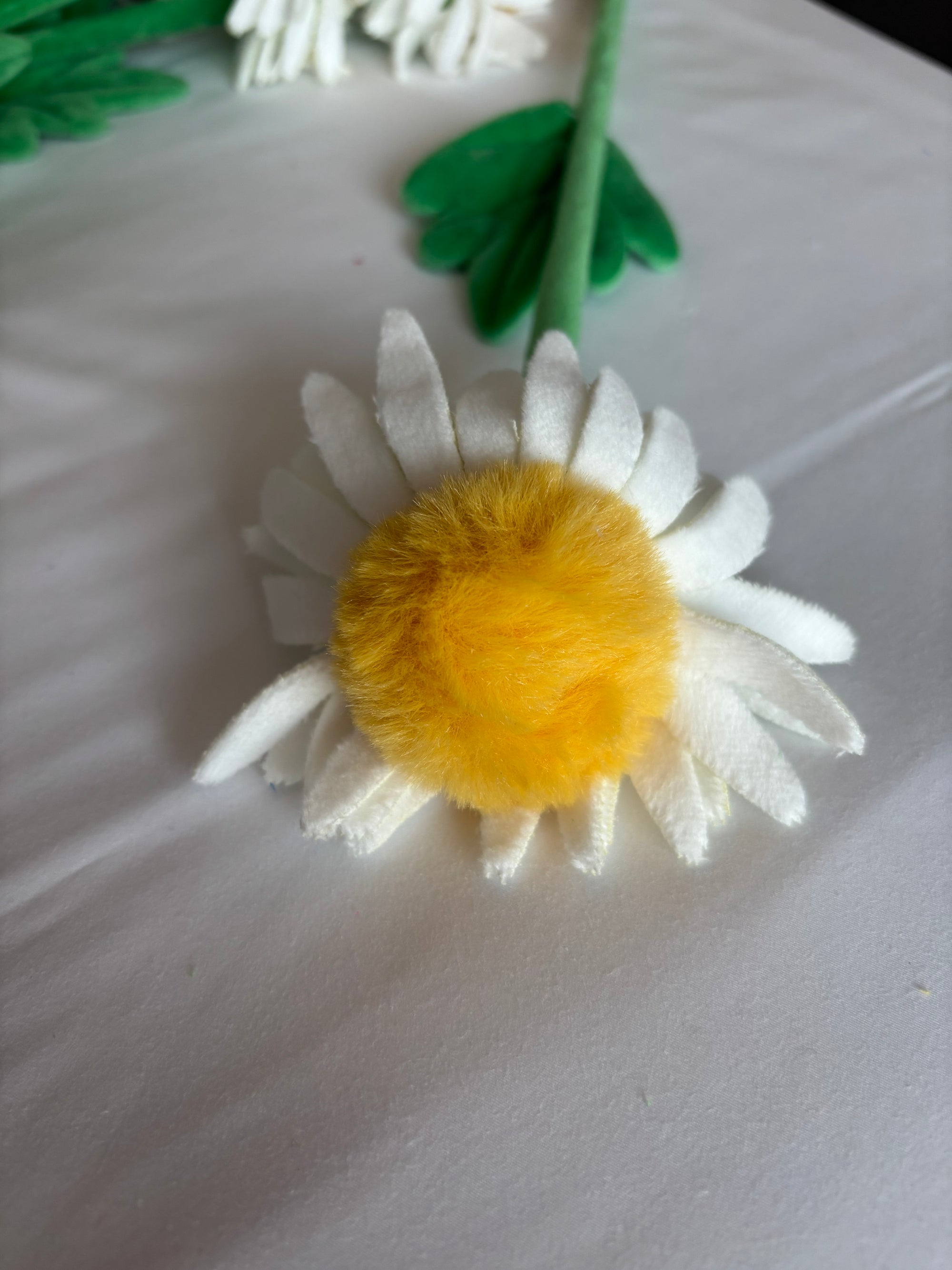Daisy CJ Hendry stem from Singapore Flower Market