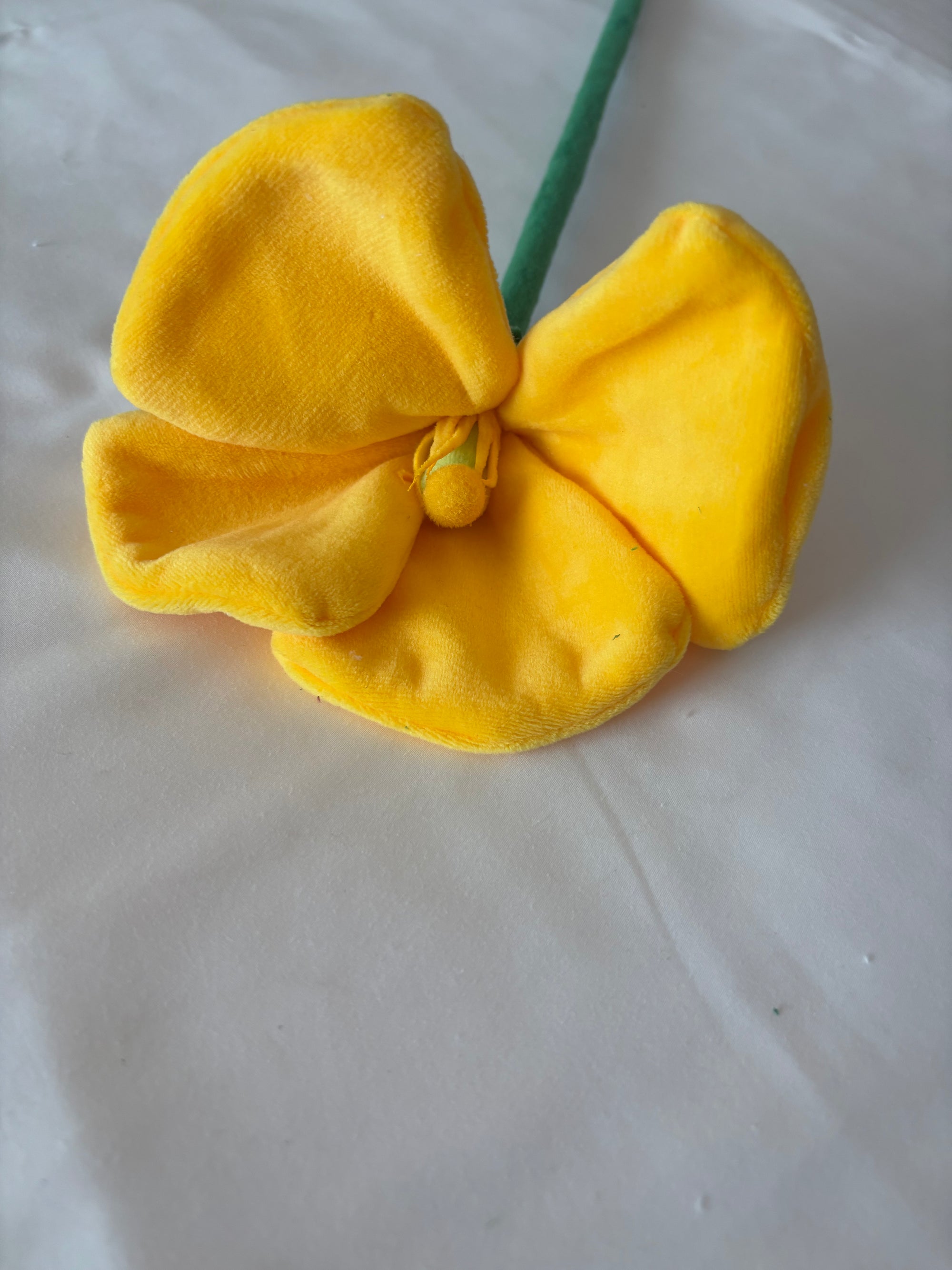 Yellow flower  CJ Hendry stem from Singapore Flower Market