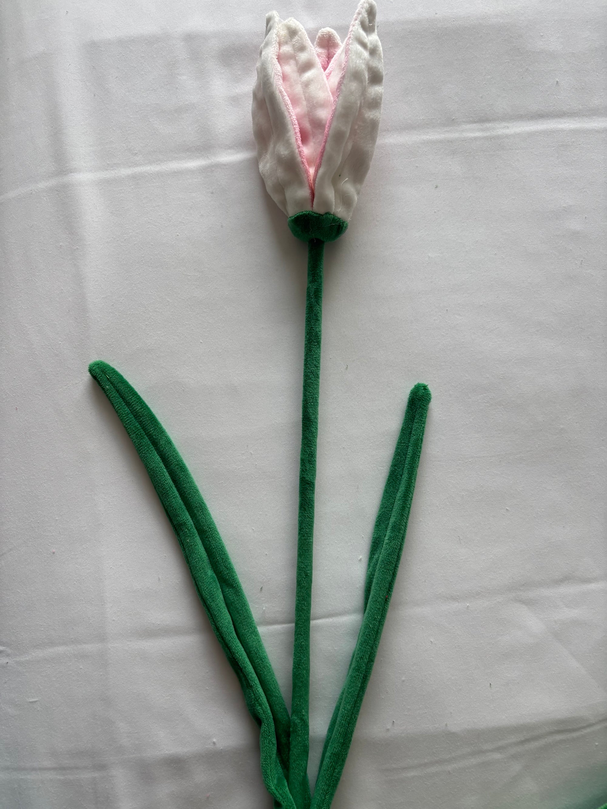 Pink & white lilly CJ Hendry stem from Singapore Flower Market