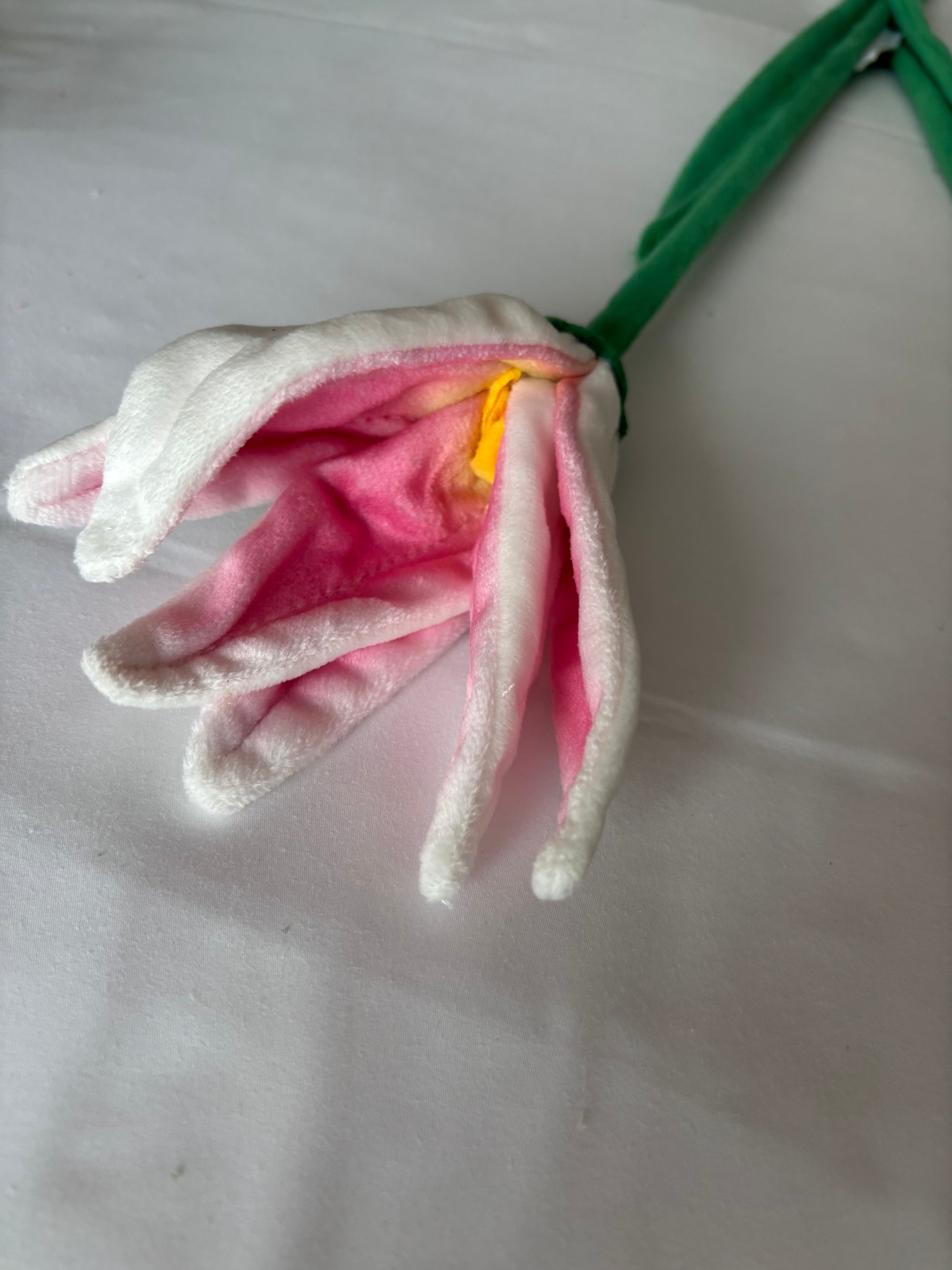 Pink & white lilly CJ Hendry stem from Singapore Flower Market
