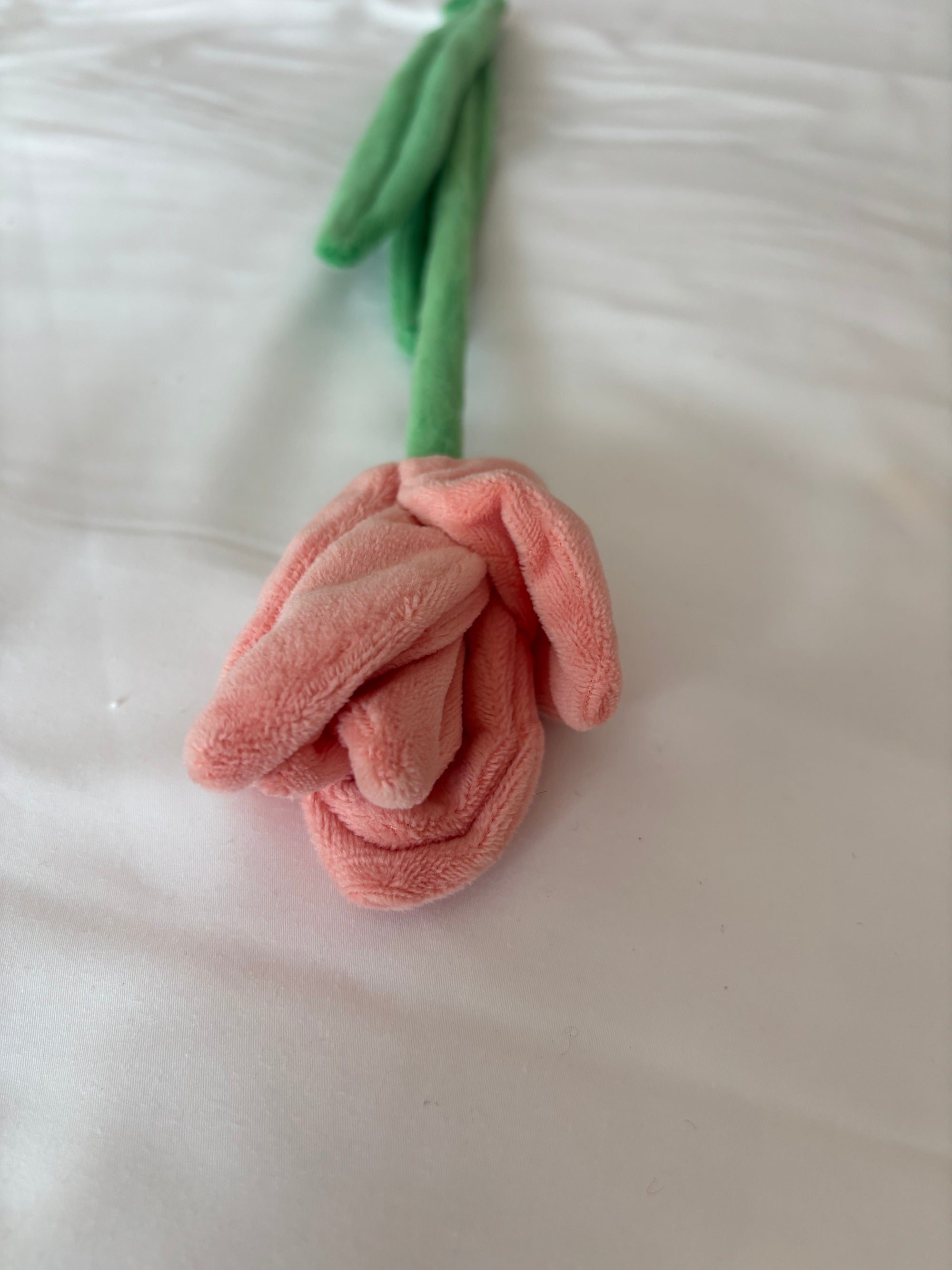 Peach tulip CJ Hendry stem from Singapore Flower Market