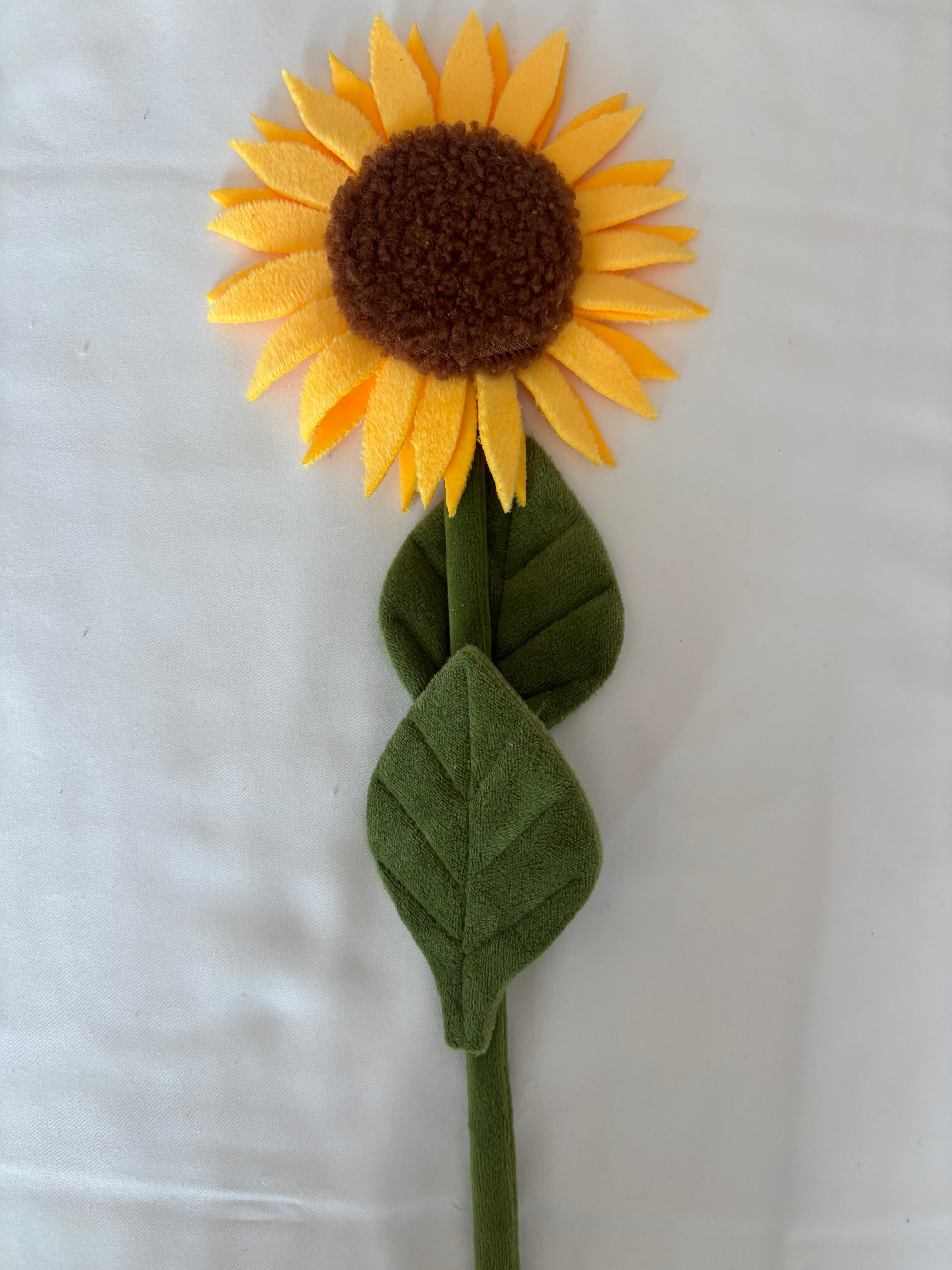 Sunflower CJ Hendry stem from Singapore Flower Market
