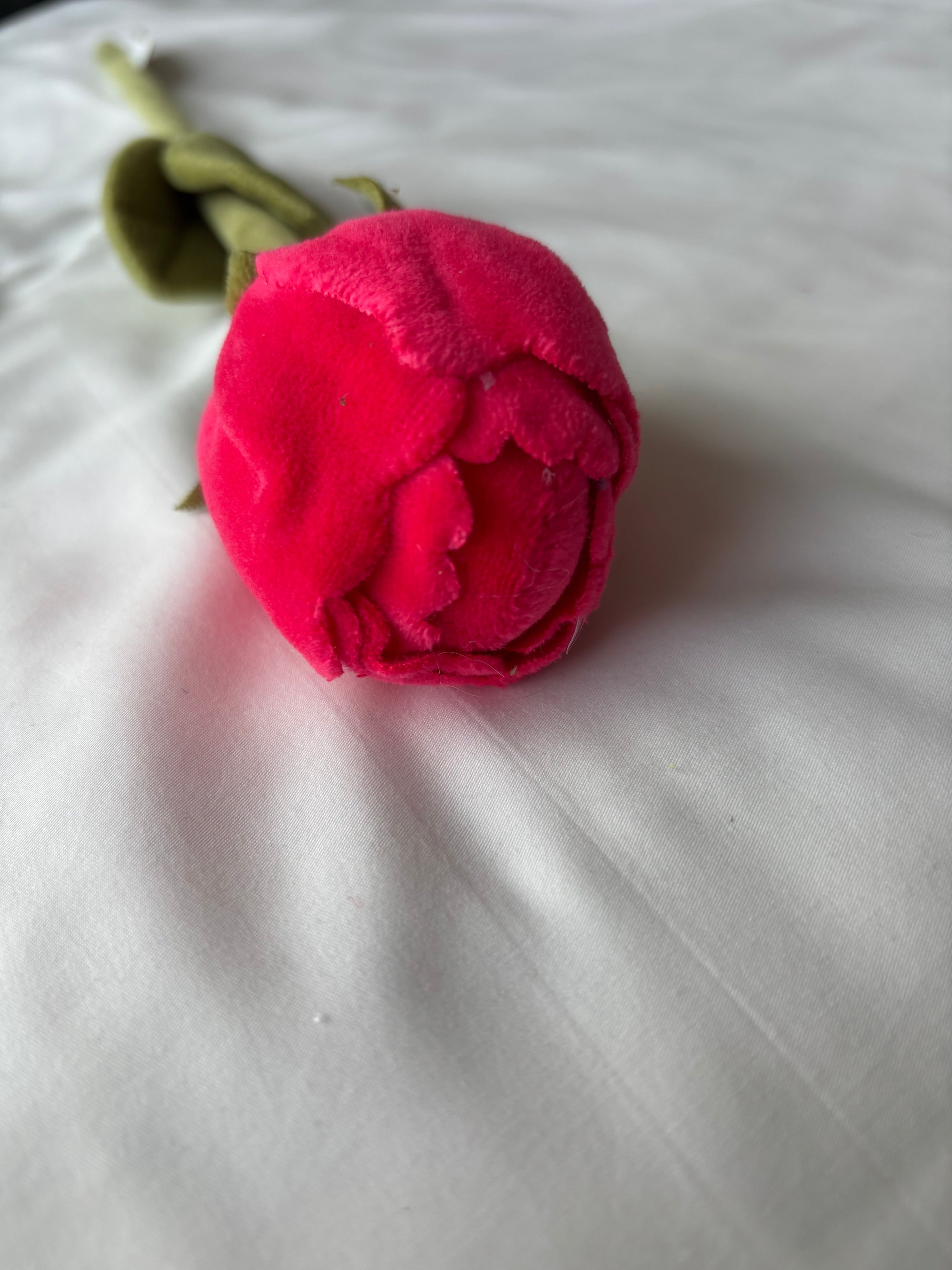 Rose red rose CJ Hendry stem from Singapore Flower Market