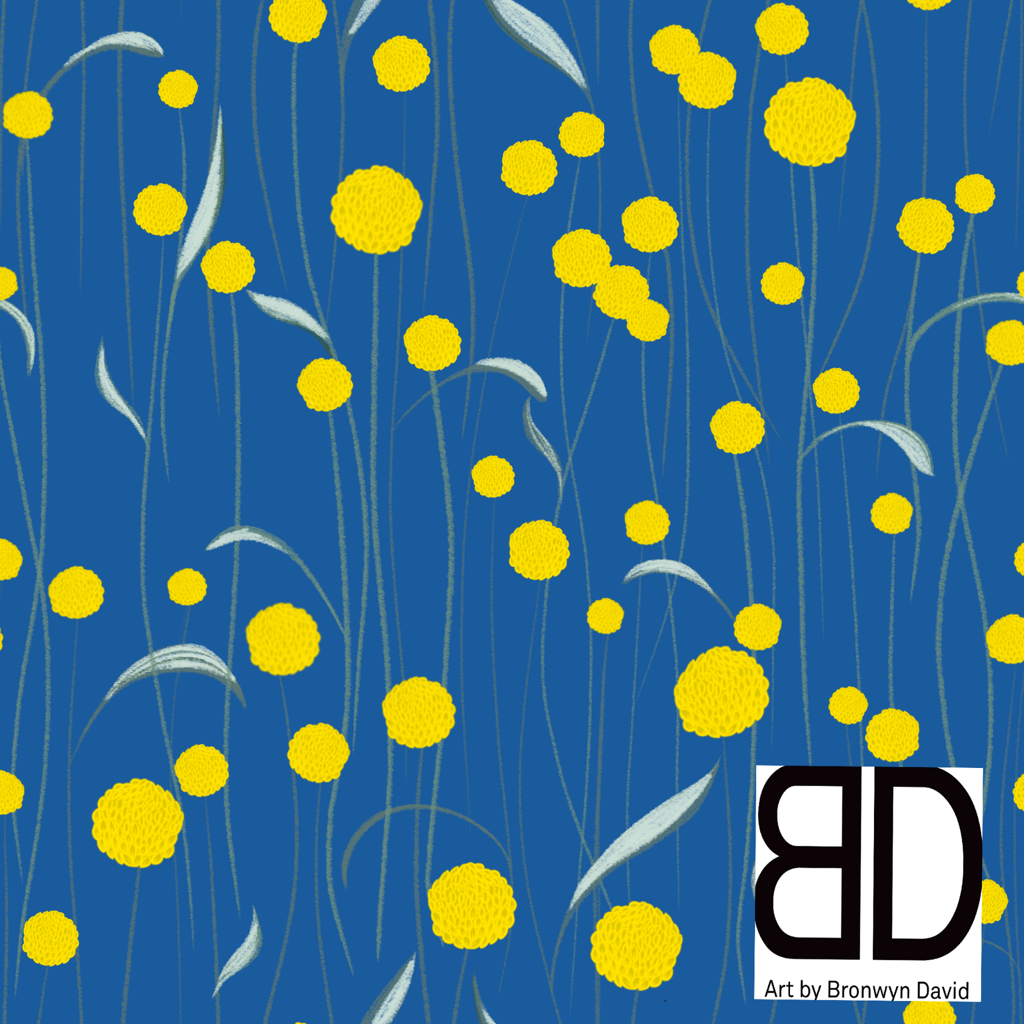 Bronwyn David : Billy buttons Navy
