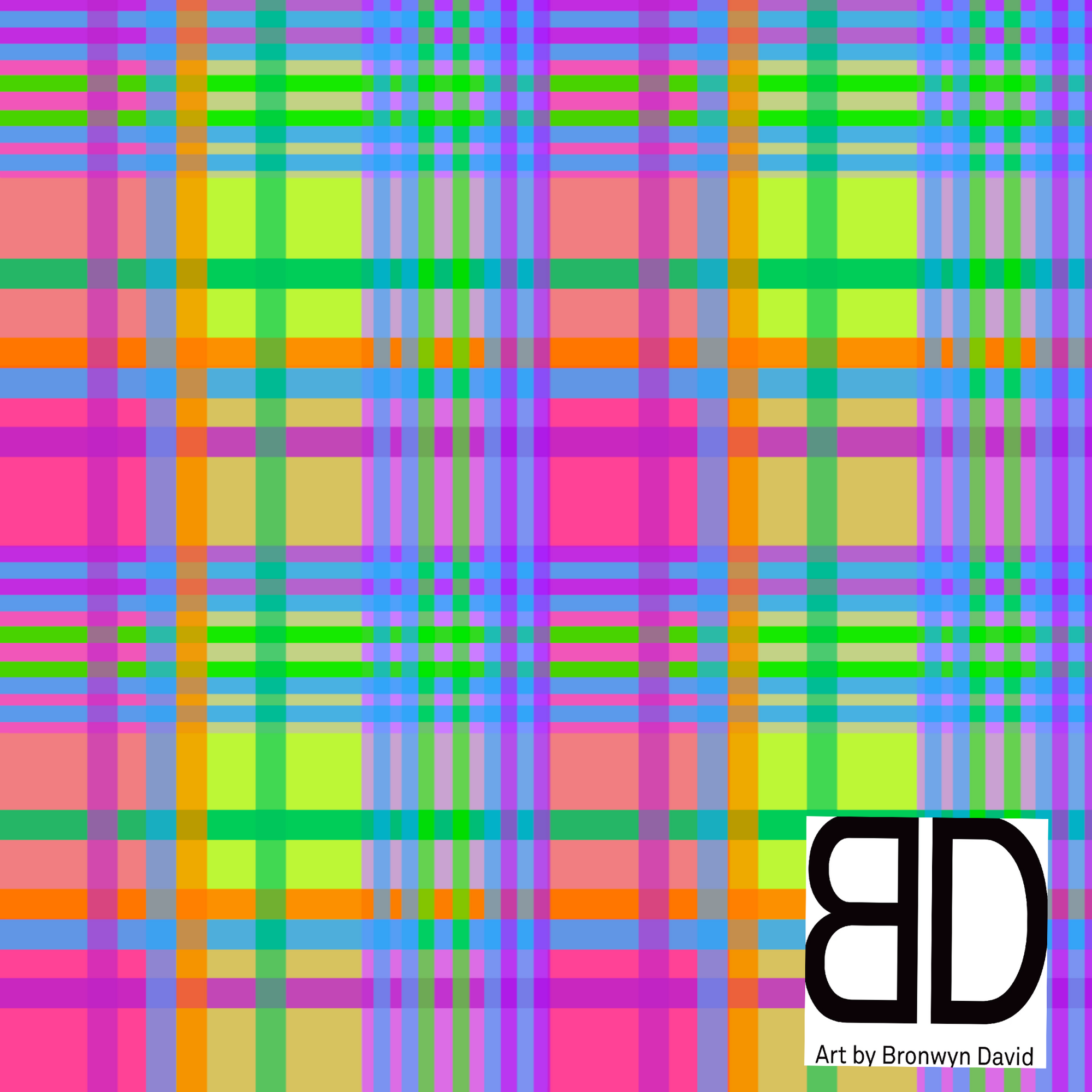 Bronwyn David : Neon Plaid