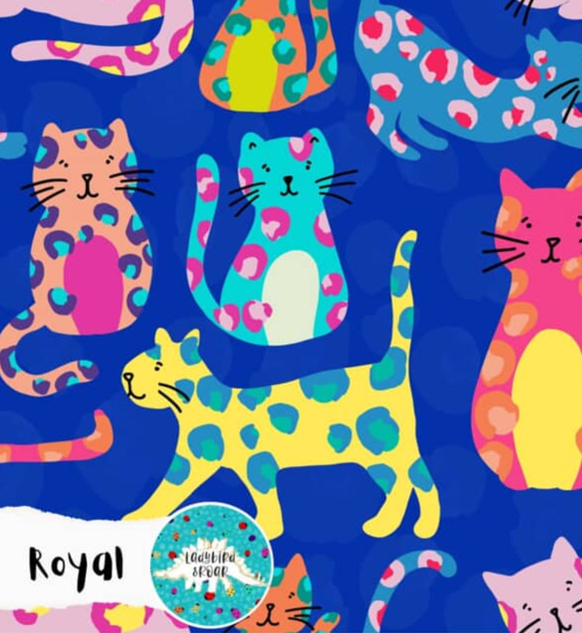 Ladybird & Roar: Royal blue kitties