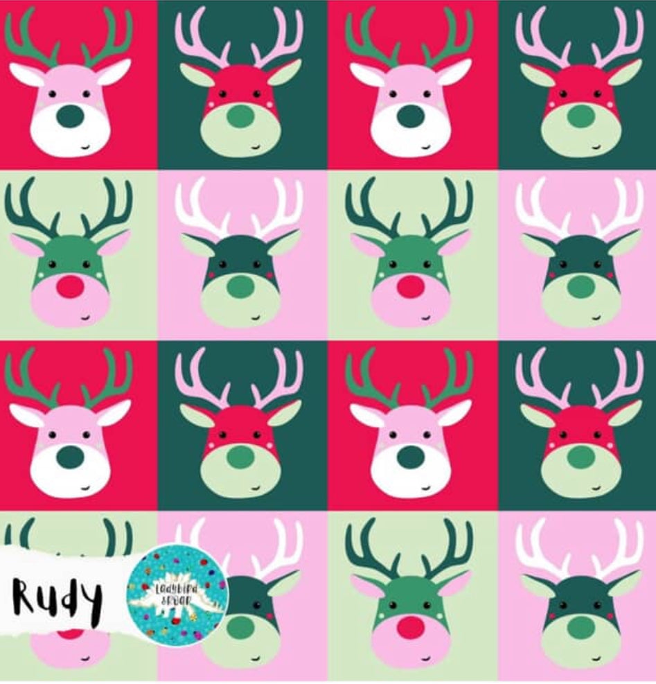 Ladybird & Roar: Rudy