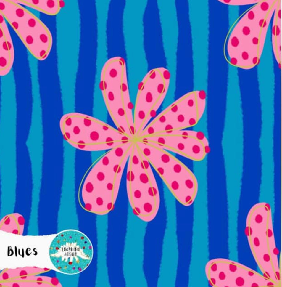 Ladybird & Roar: Spots and Stripes - Blue