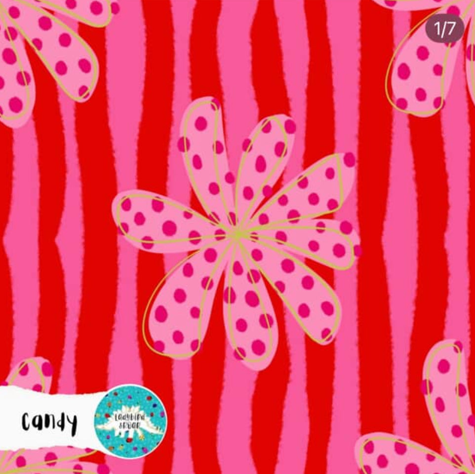 Ladybird & Roar: Spots and Stripes - Candy
